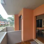 Villaggio White Star ביביונה